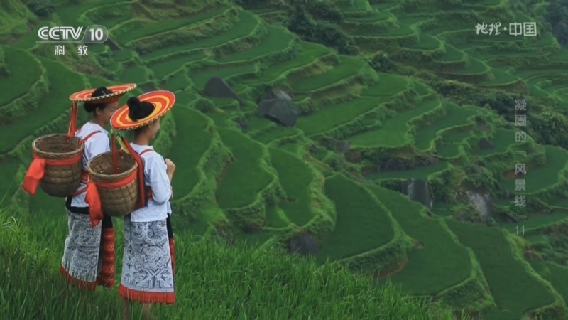 《地理·中国》 20251122 凝固的“风景线”11