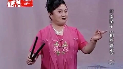河南坠子 河南坠子 相府奇冤 二部