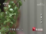 今日说法 《今日说法》 20171011 闪婚之后