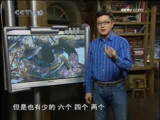 走近科学 蜘蛛咬死牛的真相