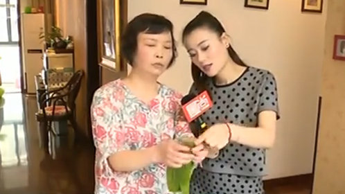 人气美食 三种方法粽飘香