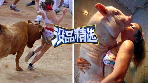 没品精选 奇葩女神挑逗萌宠反被撩