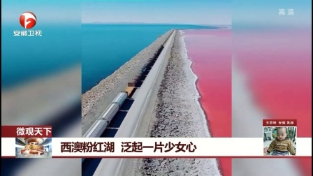每日新闻报 动物园分享趣味视频 猩猩躲雨酷似人类