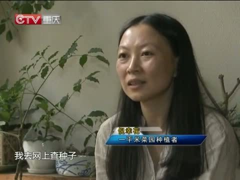 新闻解码 《新闻解码》 20140915 “一平米菜园”实验