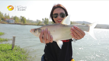 江湖行：雪沁的江苏睢宁游钓行，见人文享渔乐（二）