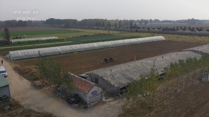 《三农群英汇》 20251024 我的田间创富路——小秋收里的大市场