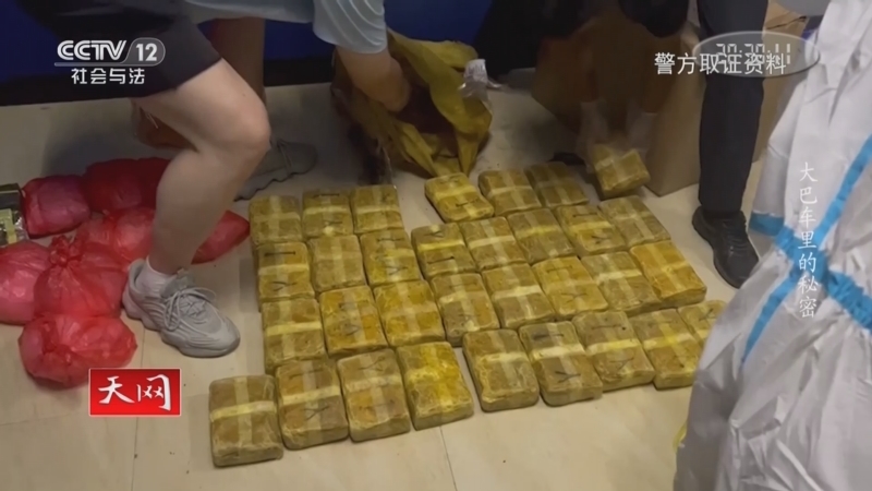 天网 《天网》 20230215 大巴车里的秘密