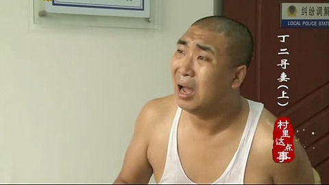 村里这点事 丁二寻妻(上)
