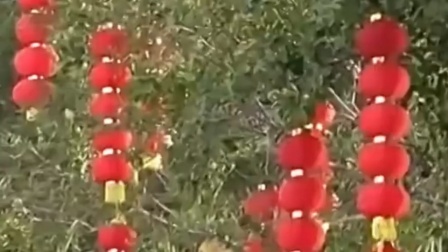 春节临近，各地装扮一新年味渐浓