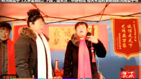 河南坠子 河南坠子 大宋金鸠记