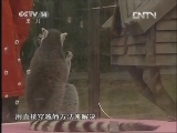 绿野寻踪 《绿野寻踪》 20121128