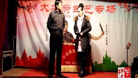 河南坠子 河南坠子 大宋奇冤