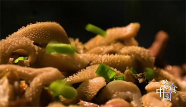 美食中国 《美食中国》 20191118 5集系列片《品味伊犁》（1） 天山脚下羊味鲜