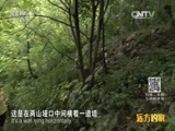 远方的家 《远方的家》长城内外 第2集 徒步辽东边堡 20150929