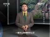 地理中国 《地理中国》 20151215 地质灾害特别节目·复活的龙头山