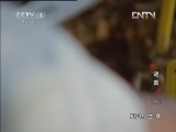 动物世界 《动物世界》 20120923