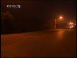 天网 天网 2010年 第89期