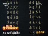 远方的家 《远方的家》 20150722 特别节目——暑假去游学（7）学艺咏春（上）