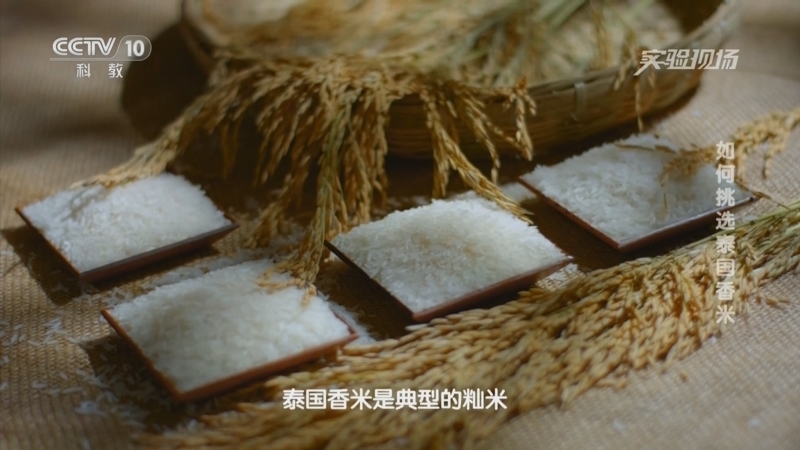 实验现场 《实验现场》 20230618 如何挑选泰国香米