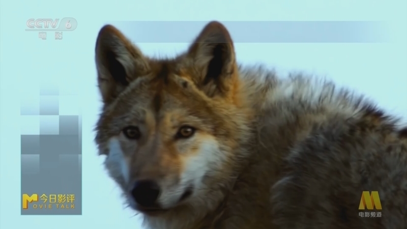 《M指数》 20260225