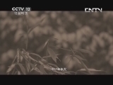 小区大事 《小区大事》 20131102 灼伤的亲情