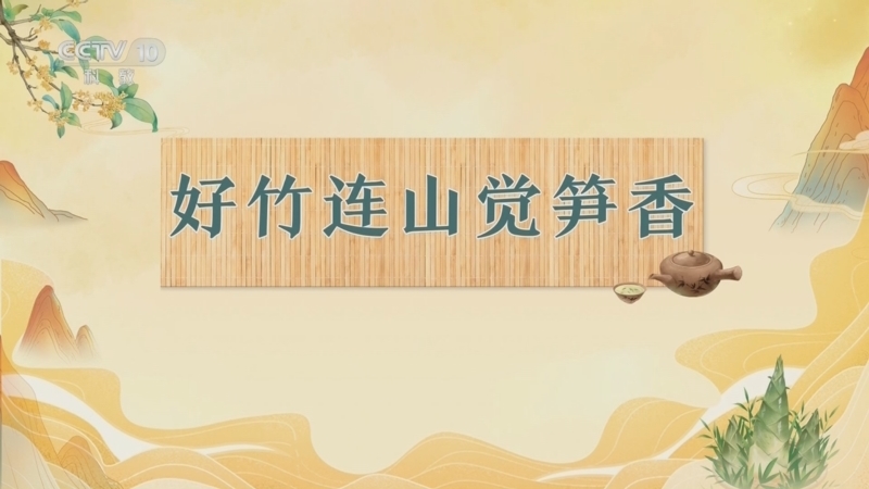 百家讲坛 《百家讲坛》 20250223 诗中宋宴 4 好竹连山觉笋香