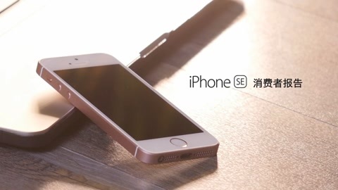 FView iPhone SE  消费者报告