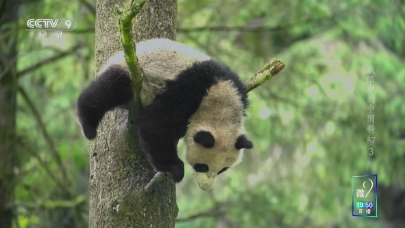 《我眼中的中国科幻》 第3集