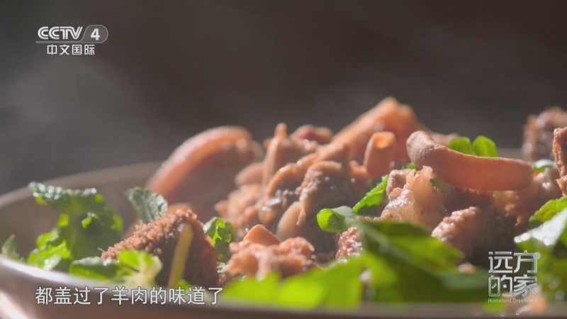 远方的家 《远方的家》 20250516 山水云南 神奇画卷 魅力临沧