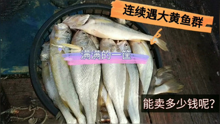 南澳岛赶海日记 彪哥近海捕黄鱼，捕到一船舱大黄鱼如果年前最少值几万，实在可惜