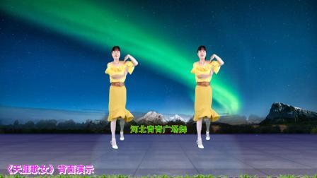 流行DJ广场舞及教学 第三季 怀旧金曲广场舞《天涯歌女》正背面演示分解