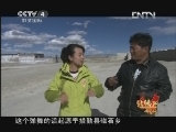 远方的家 北纬30°·中国行 第一百八十五集 阿里：快乐的高海拔 《远方的家》 20130320
