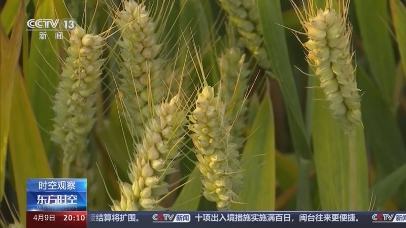 东方时空 《东方时空》 20240409