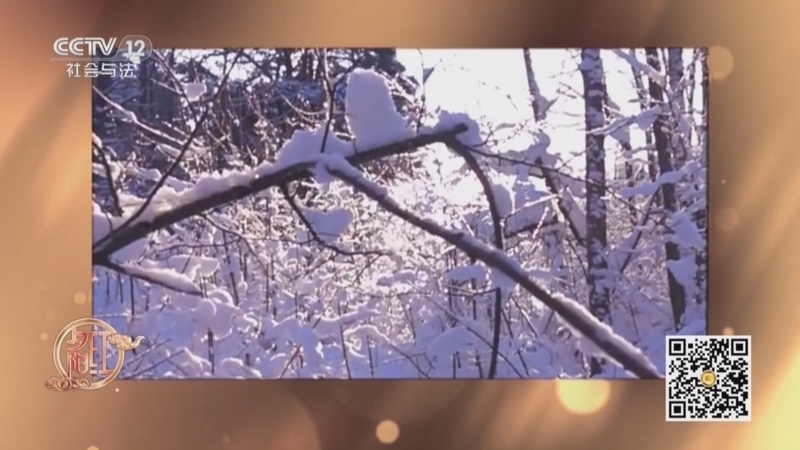 夕阳红 《夕阳红》 20251122 雪韵养生时（2）