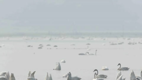 湖北新闻20210307