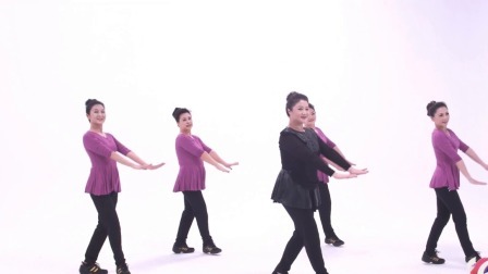 站在草原望北京-李萍