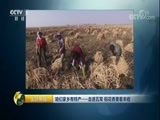 生财有道 《生财有道》 20171114 咱们家乡有特产——走进五常 稻花香里看丰收