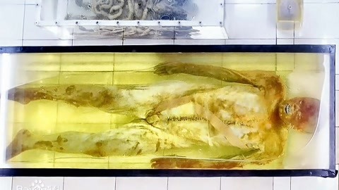 经典传奇 荆州凤凰山168号古墓 楚人遂尸身不腐之谜