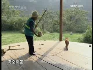 芝麻开门【央视】 猕猴下山记