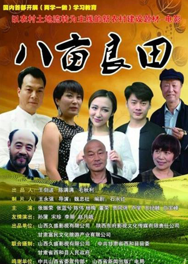 八亩良田 海报