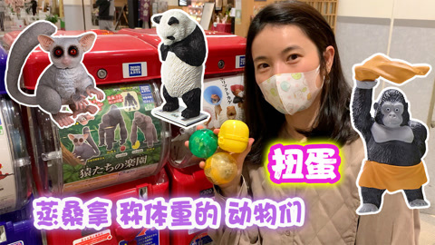 玩具益趣园 趣味动物扭蛋玩具故事