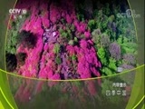 地理中国 《地理中国》 20171225 四季中国·万物复苏