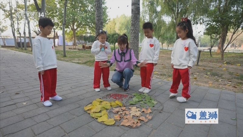 小小智慧树 《小小智慧树》 20240105