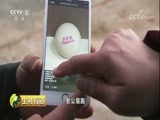 生财有道 《生财有道》 20180308 江西寻乌：电商脱贫路上的获得感