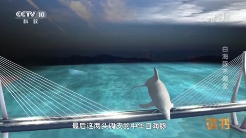 读书 《读书》 20190317 曾平标 《中国桥：港珠澳大桥圆梦之路》 白海豚不搬家