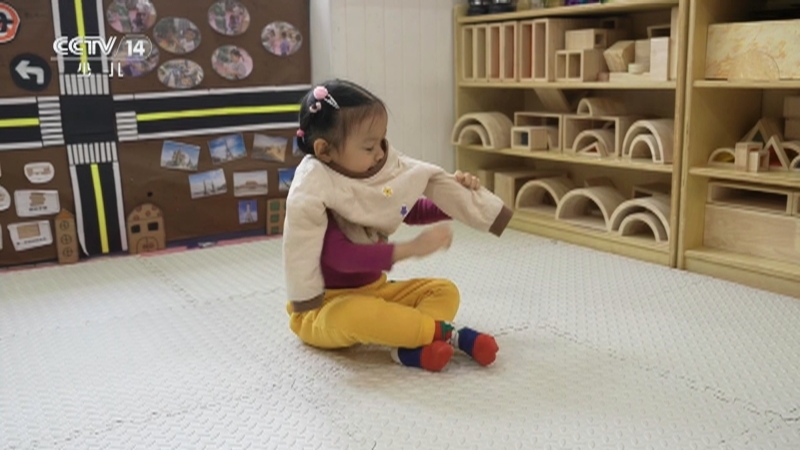 小小智慧树 《小小智慧树》 20251229