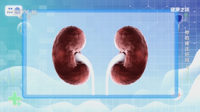 《健康之路》 20260317 你的肾还好吗(上)
