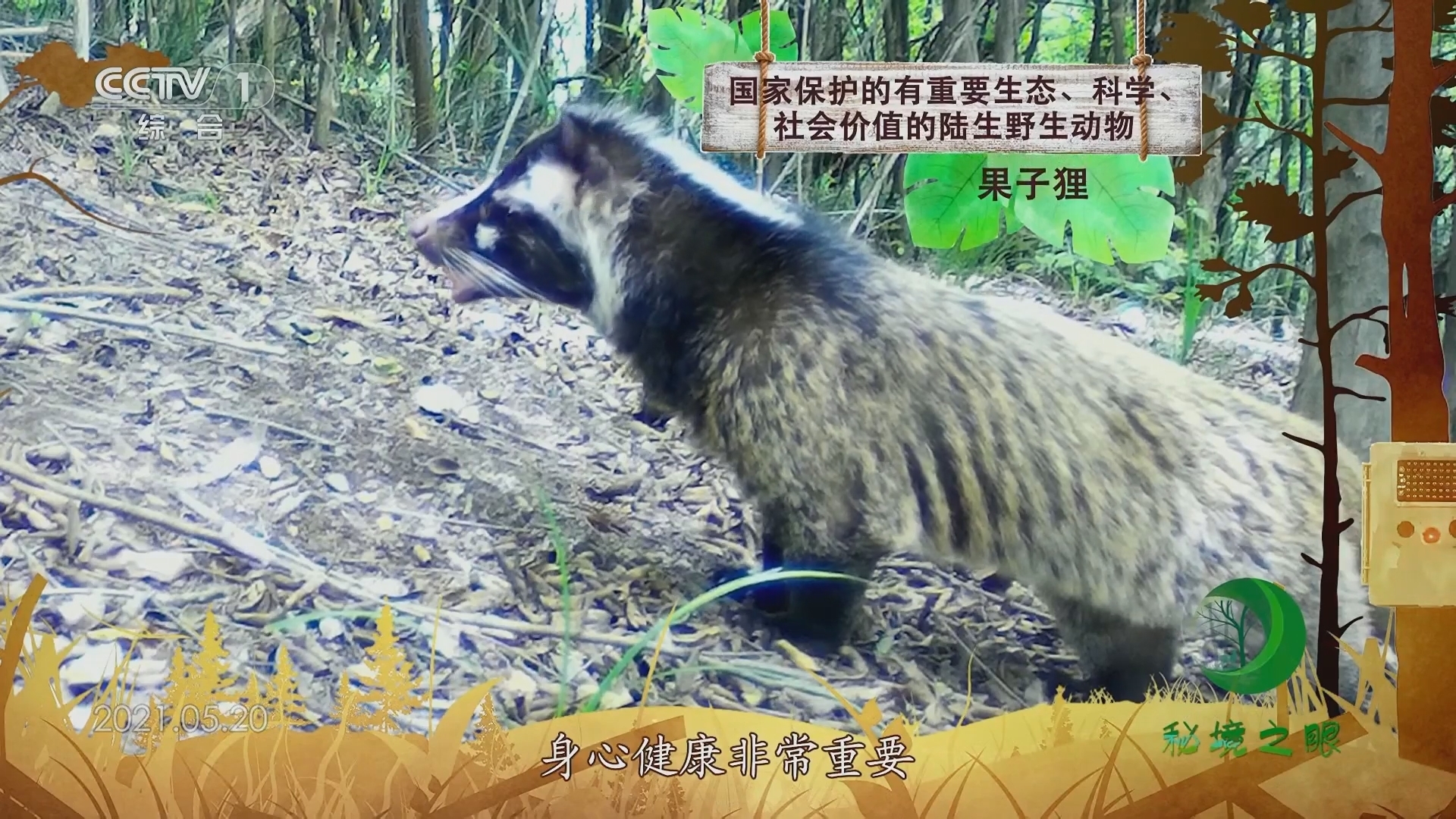 秘境之眼 《秘境之眼》 果子狸 20230912
