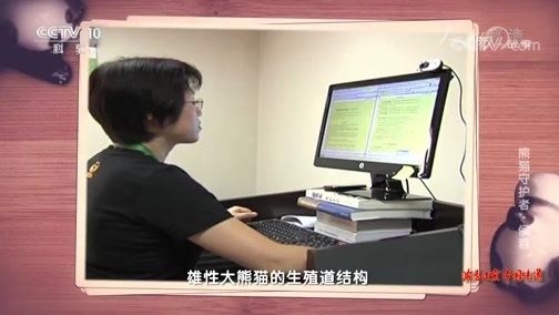 人物&middot;故事 《人物·故事》 20200514 熊猫守护者·侯蓉
