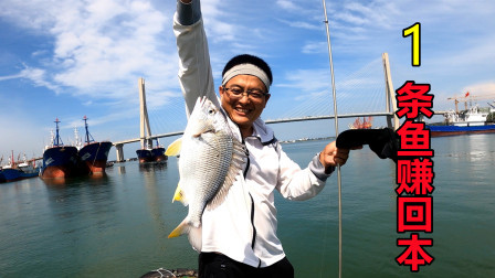 渔夫出海钓鱼，仅钓一条鱼就值回船费，带回家做鱼面给女儿吃